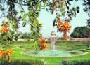 Five Lessons I learn from India (3)