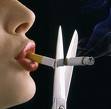 quit-smokings