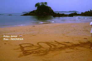 Pulau jemur island
