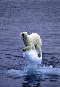 global warming global warming
