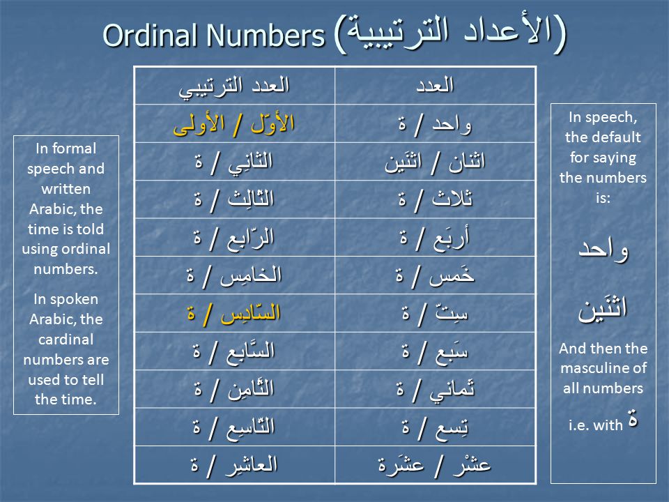 Angka Ordinal Bahasa Arab